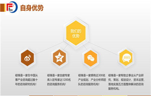 六安市社會穩(wěn)定風(fēng)險分析評估報告（甲級）——社會經(jīng)濟咨詢服務(wù)的核心價值與實施路徑