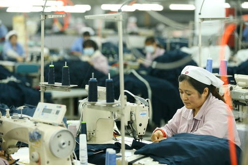 山東即墨 村頭工廠助力就業(yè)，打造社會經(jīng)濟咨詢新引擎